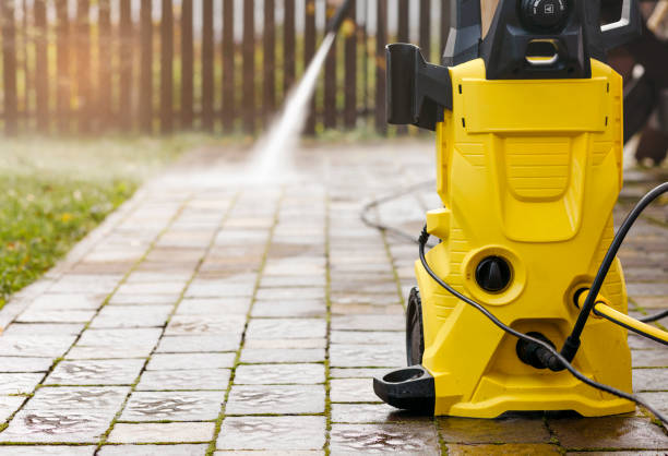 Animal Enclosure Cleaning in North Lauderdale, FL